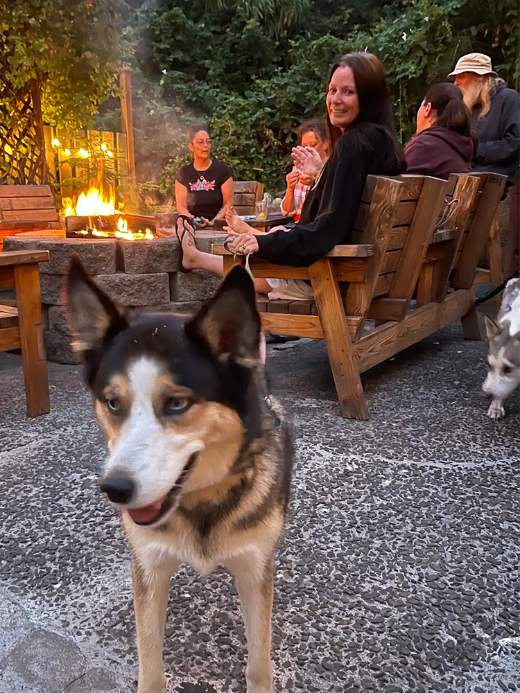 image of people and dogs enjoying a campfire in the back of workers tavern